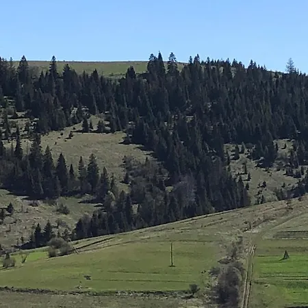 Soul House * Pilipets