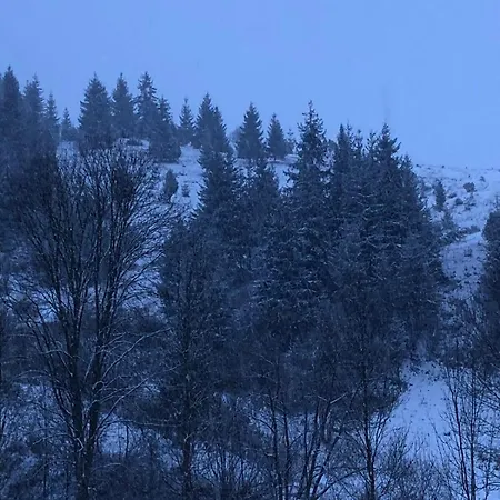 Soul House Шале Пилипец