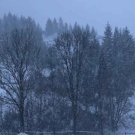 シャレー Soul House *